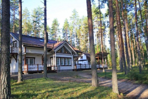 Big House in a Pine Forest